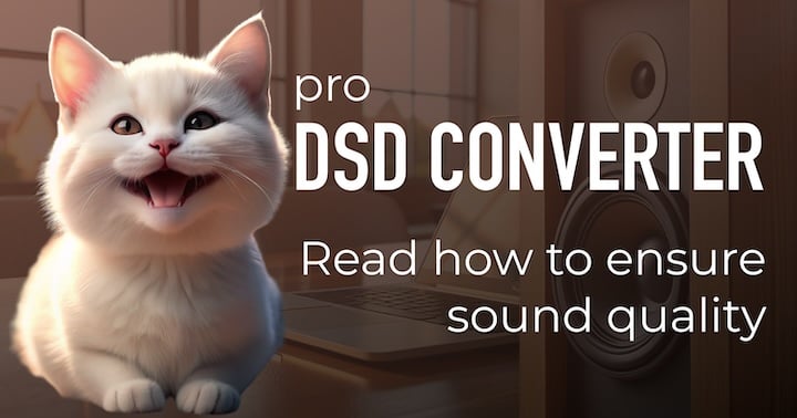 Professional DSD converter: How to Ensure Quality