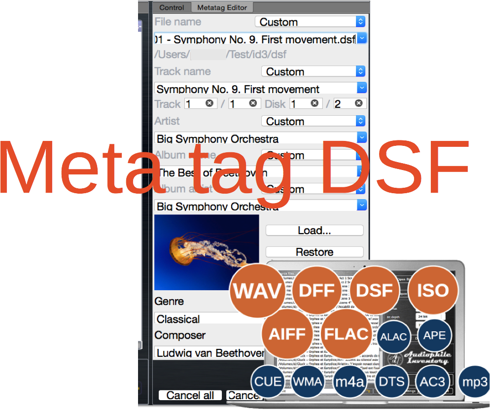 Meta tag editor DSF audio file
