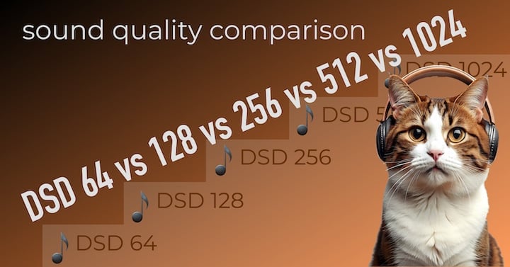 Audio Format Comparison: DSD64 vs DSD128 vs DSD256 vs DSD512 vs DSD1024