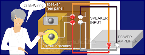 Bi-wiring of loudspeakers